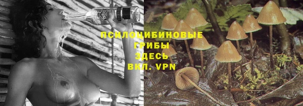 mdma Осинники