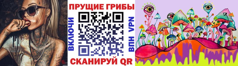 Галлюциногенные грибы Psilocybe  как найти закладки  Торжок 