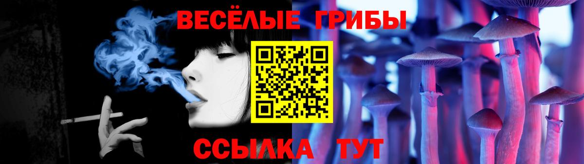 Псилоцибиновые грибы GOLDEN TEACHER  Вход с VPN  Торжок 