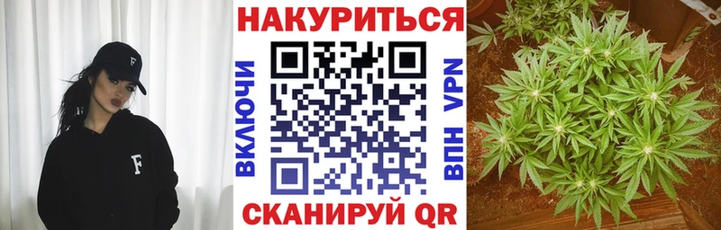 Бошки марихуана конопля Торжок
